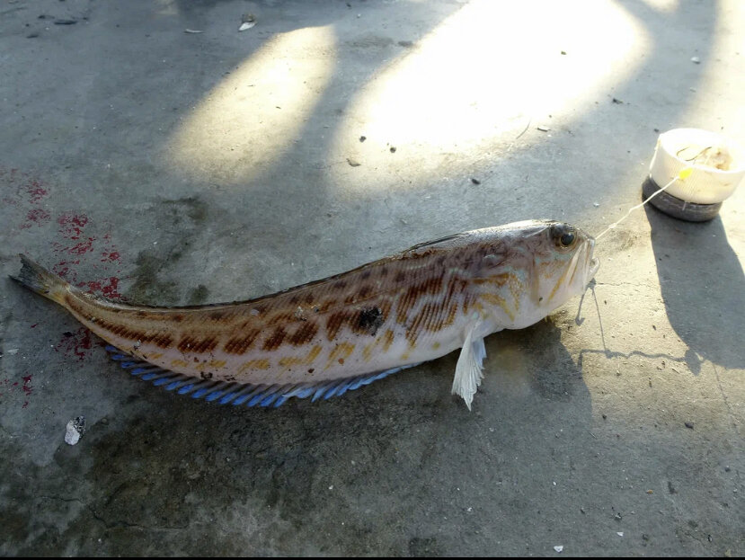 Фото с Яндекс картинок