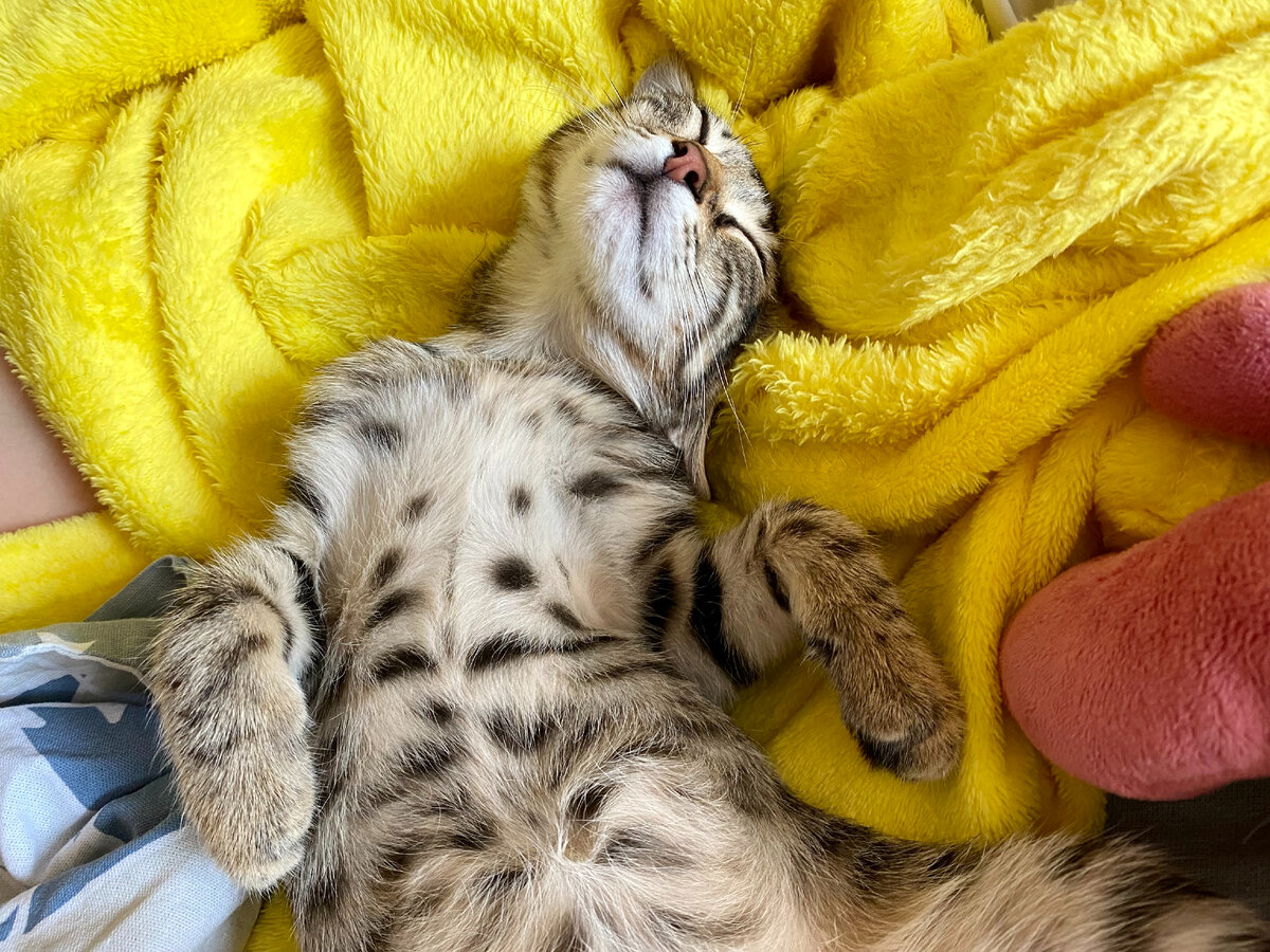 Отдыхает наша кроха ранним утром)