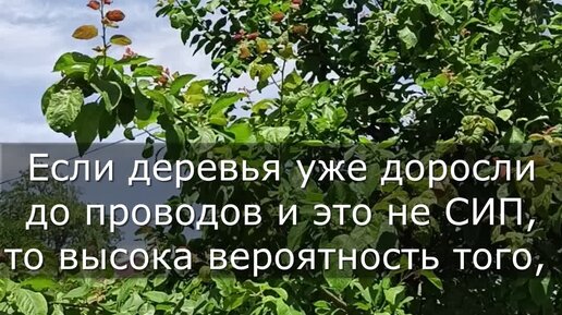 Тревога и не думает отключаться я замечаю что настенные сканеры безопасности