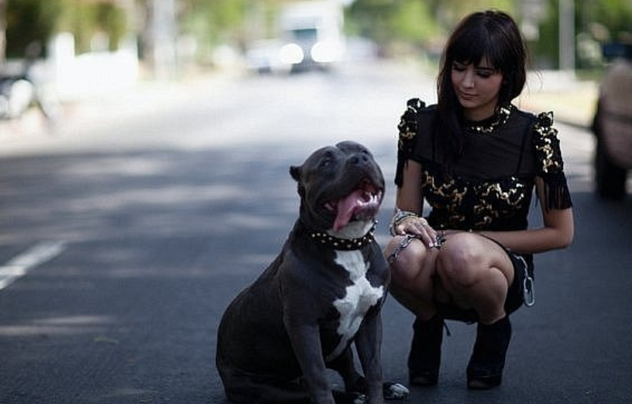 Девочка со стаффом, иллюстративное фото из Яндекс.Картинок