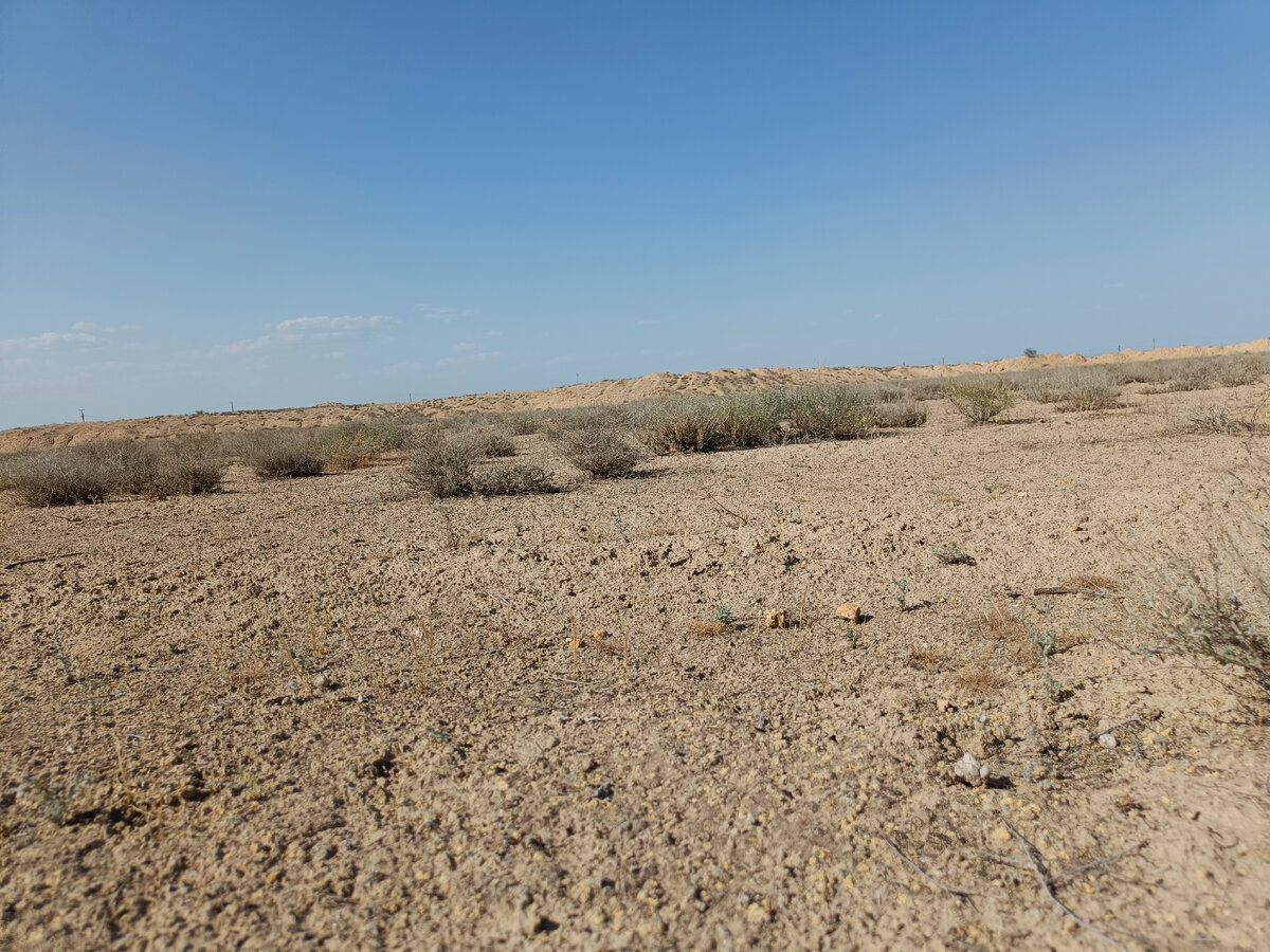 Пустыня. Фотография автора 