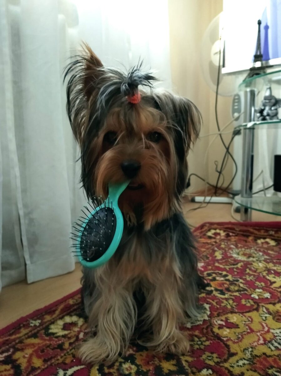 НАМЁК ПОНЯЛИ....