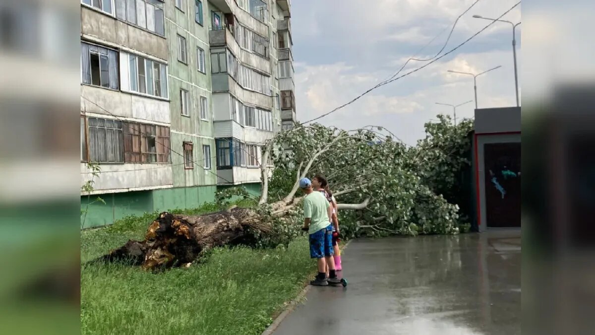 Фото: читатели «Курьер.Среда»