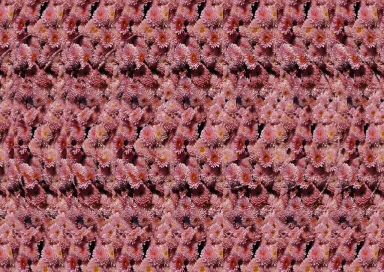 Веселые стереокартинки для тренировки зрения | Эксимер ...