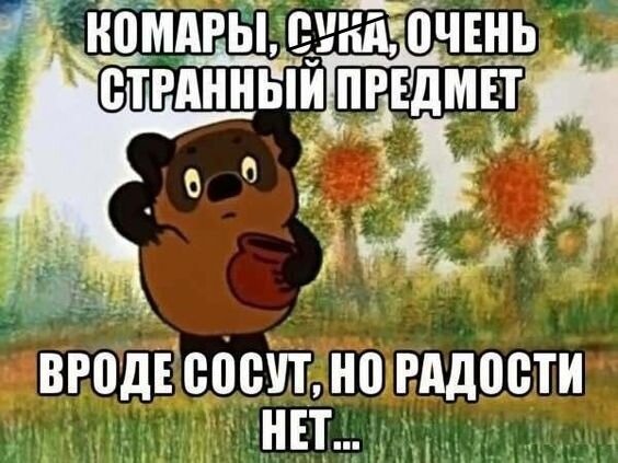 Фото из открытых источников.