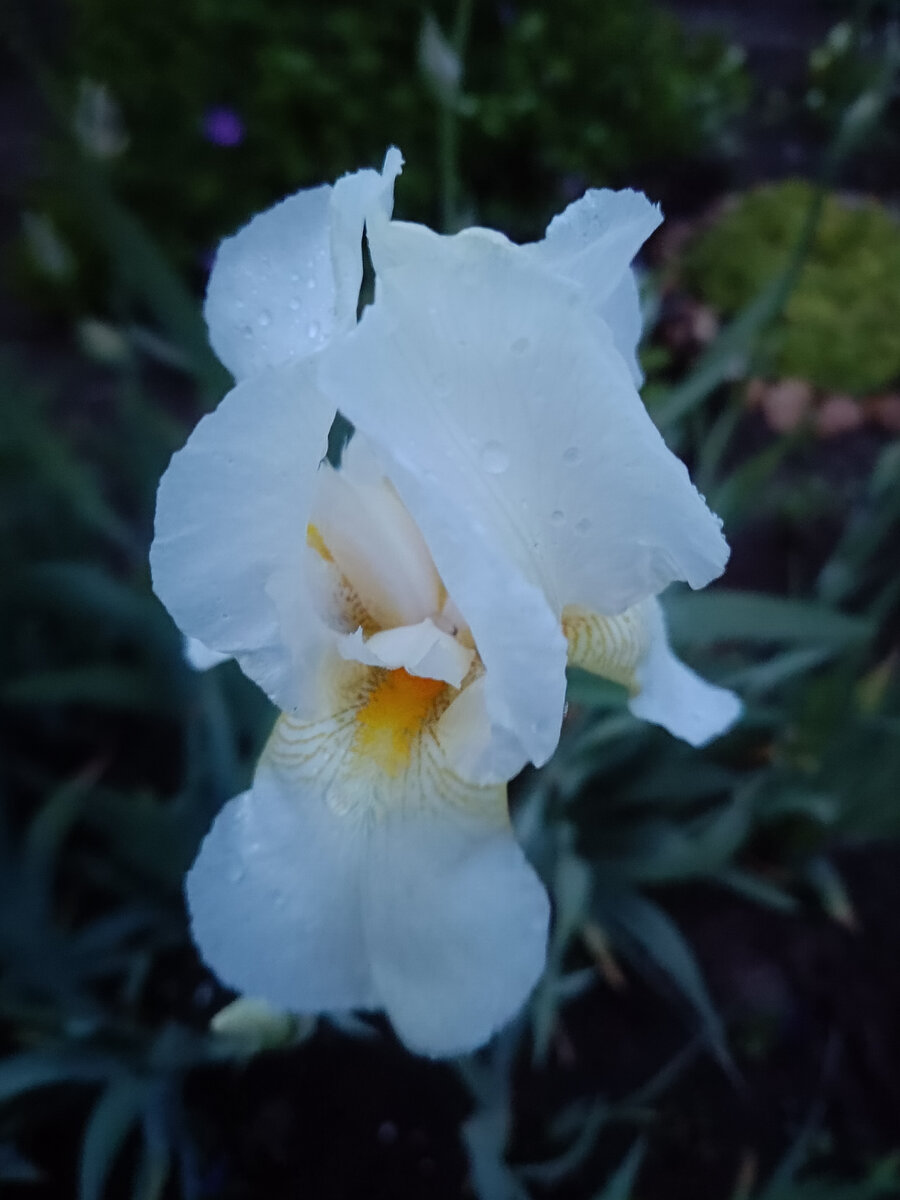 Фото автора статьи. 