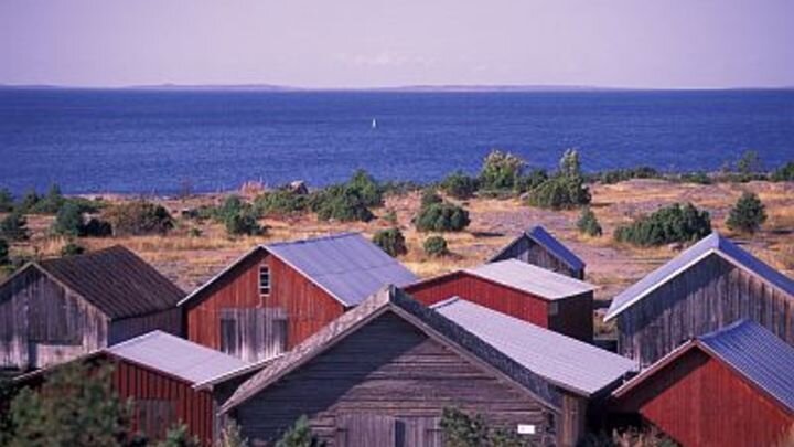 NIK WHEELER/DANITA DELIMONT/GLOBALLOOKPRESS