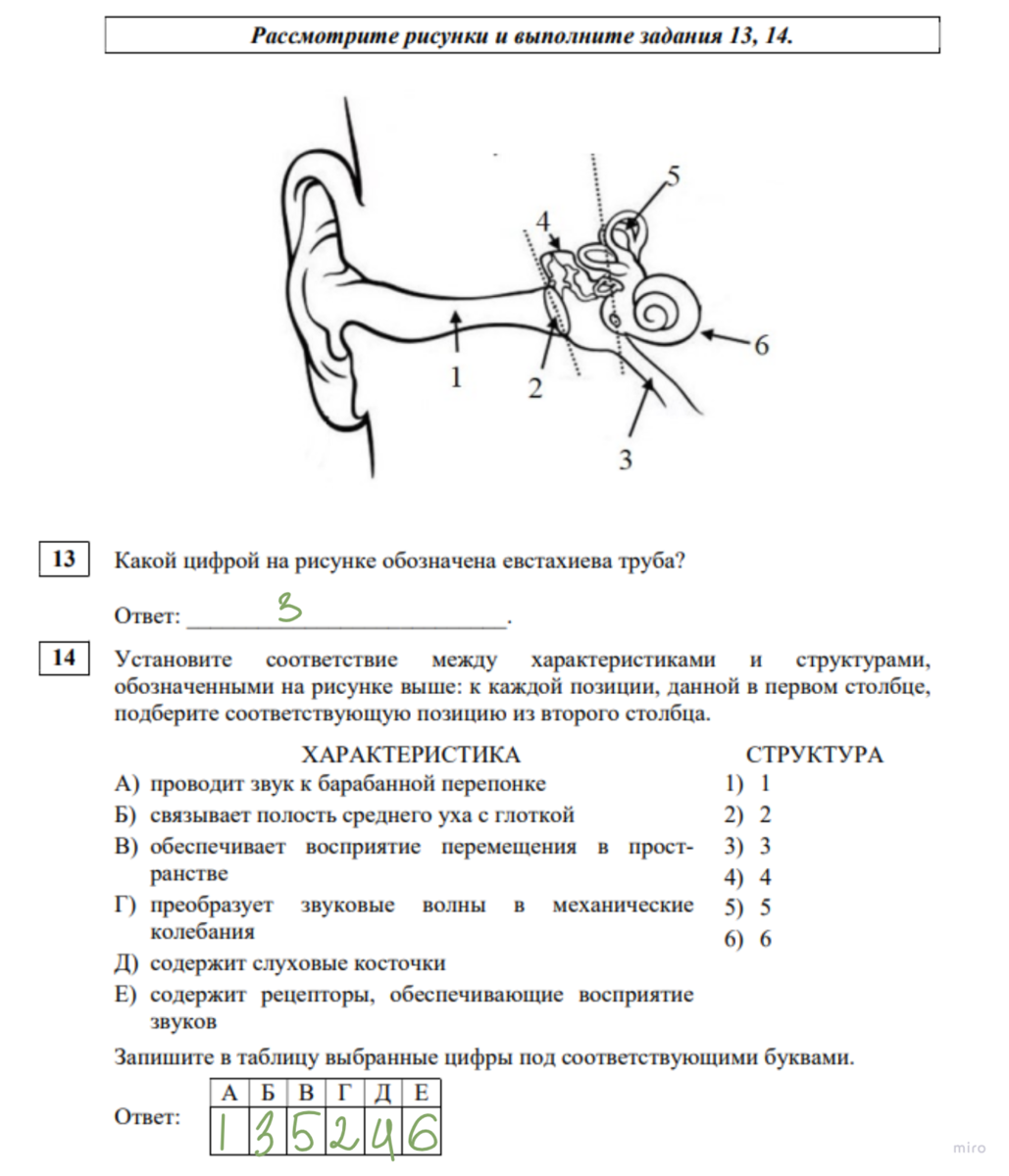 Почему биологию считают комплексной наукой: краткий ответ для 5 класса