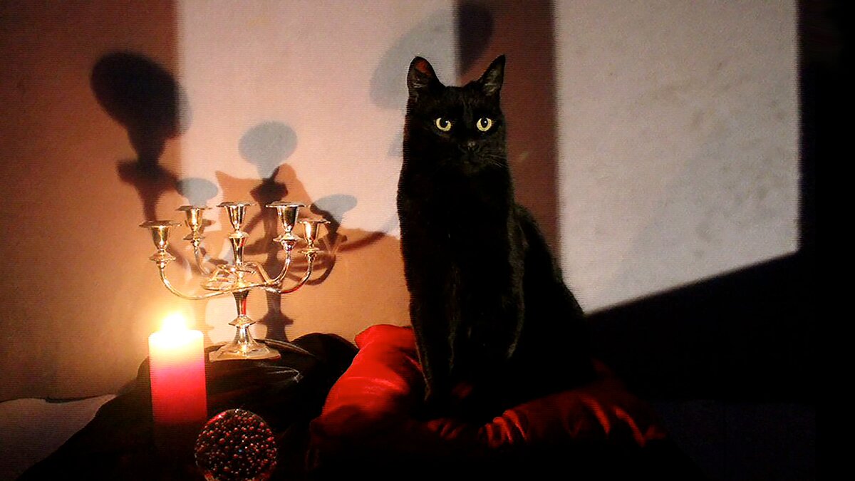 источник фото: media.vogue.mx