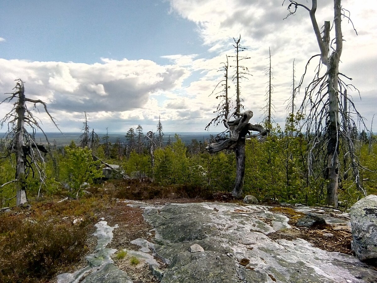 Успокаивайте себя тем, что всё это - только ваше воображение.