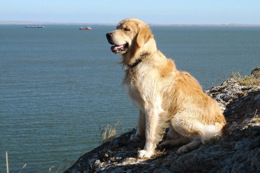 Фото с fotoprizer.ru