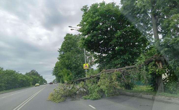    Источник фото: Курские известия