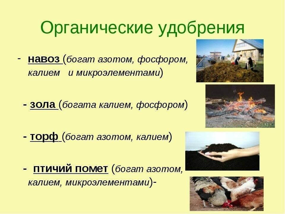 Удобрение органическое. Виды органических удобрений. Органические удобрения навоз. Органические удобрения презентация.