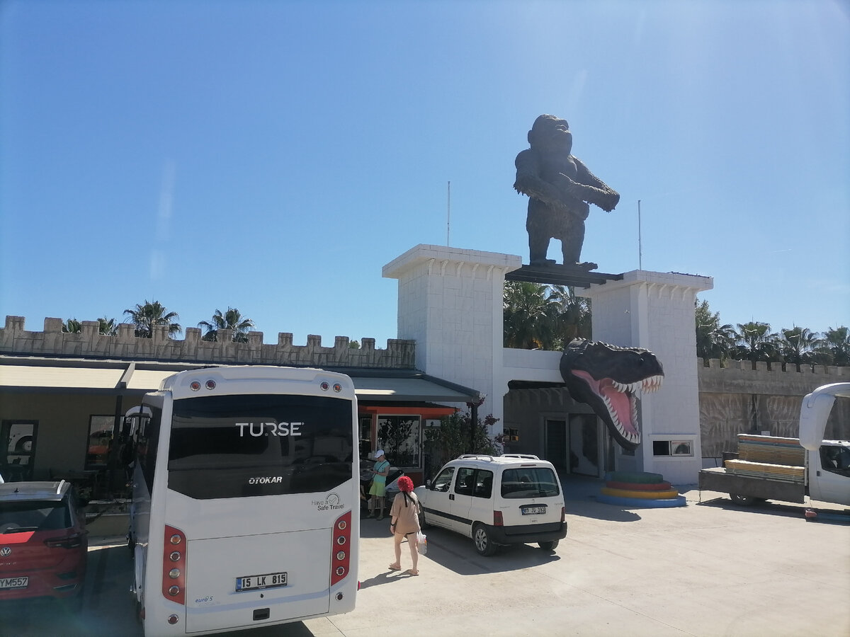 Фото автора. Остальные тоже мои