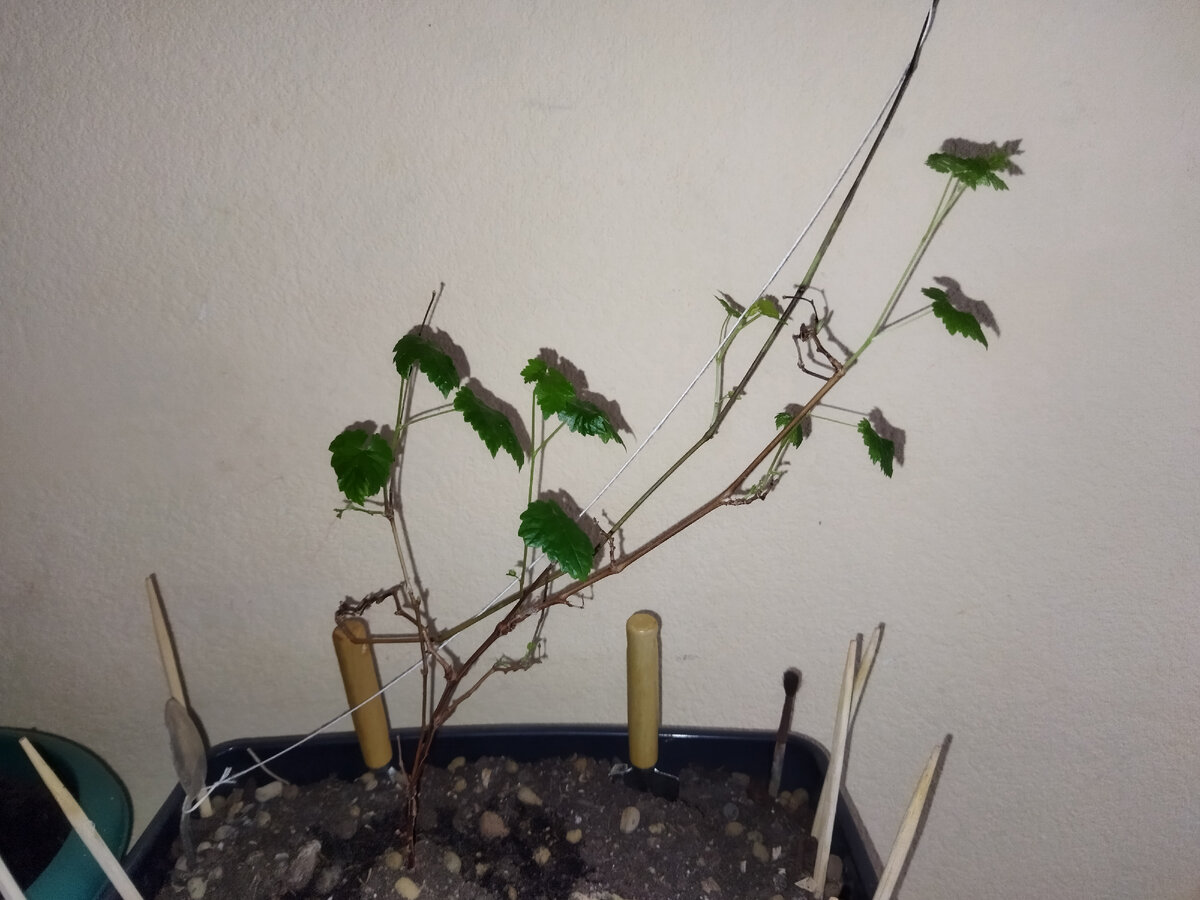 Фото из личного архива автора.