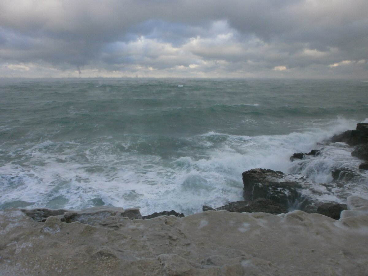 Рыбзик зимой