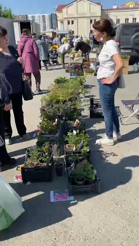 Три раза в неделю трговля,от 20 до 100км от дома