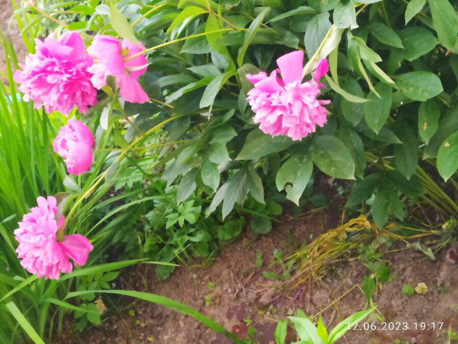 Фото автора 