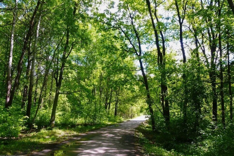 парк Маршалково