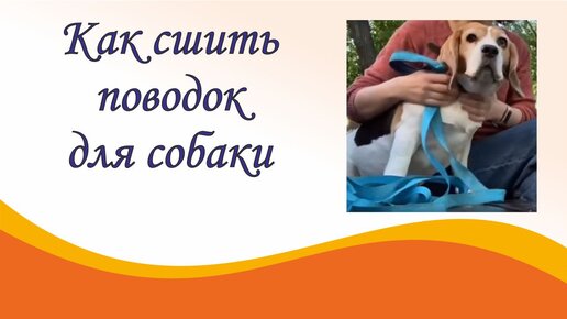 Какие бывают виды поводков?