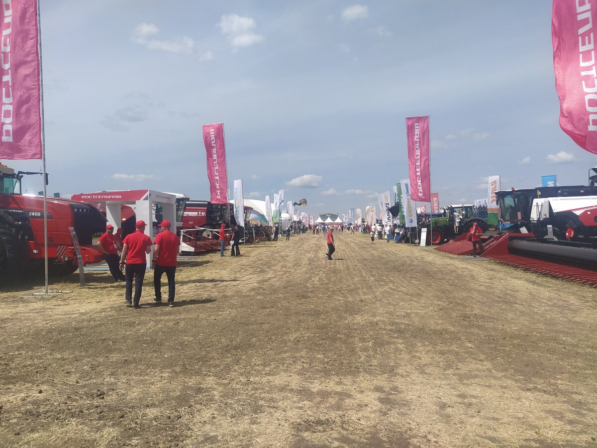 Донское поле 2024. День поля 2024. День поля. День донского поля 2024. День поля зерноград 2024.