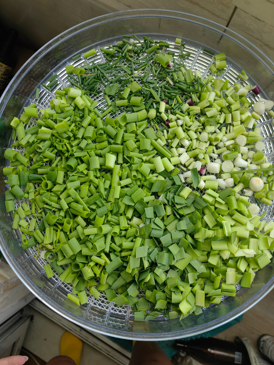 Сушеный зеленый лук