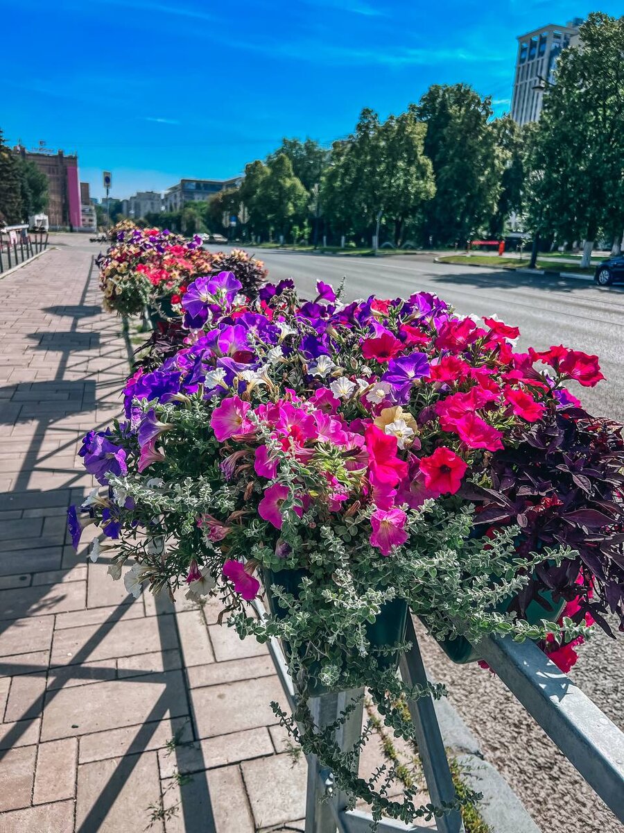 Дачи и участки на Ярославском шоссе в Подмосковье. Продажа