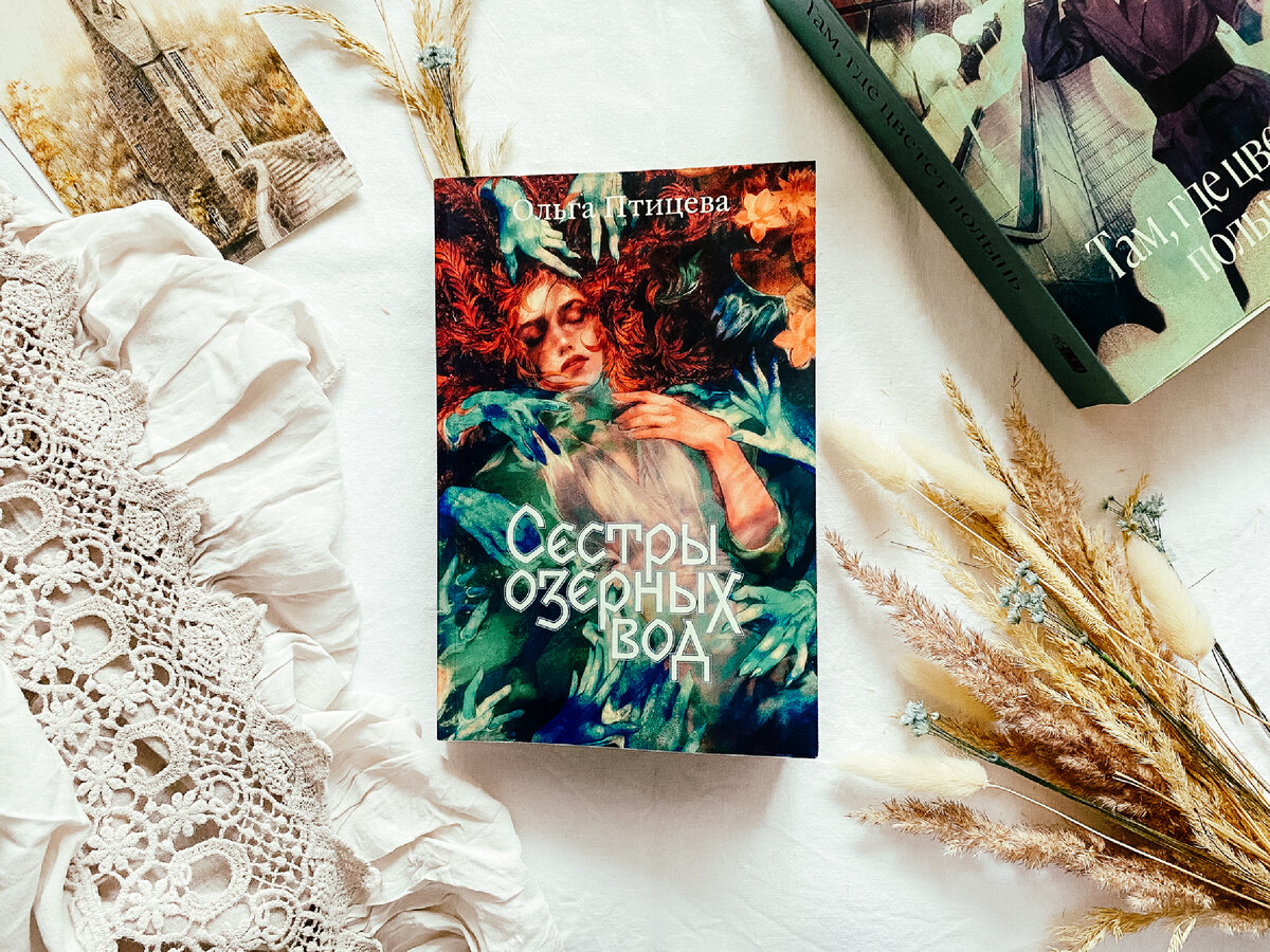 Мягкая обложка, 368 стр., издательство Popcorn Books