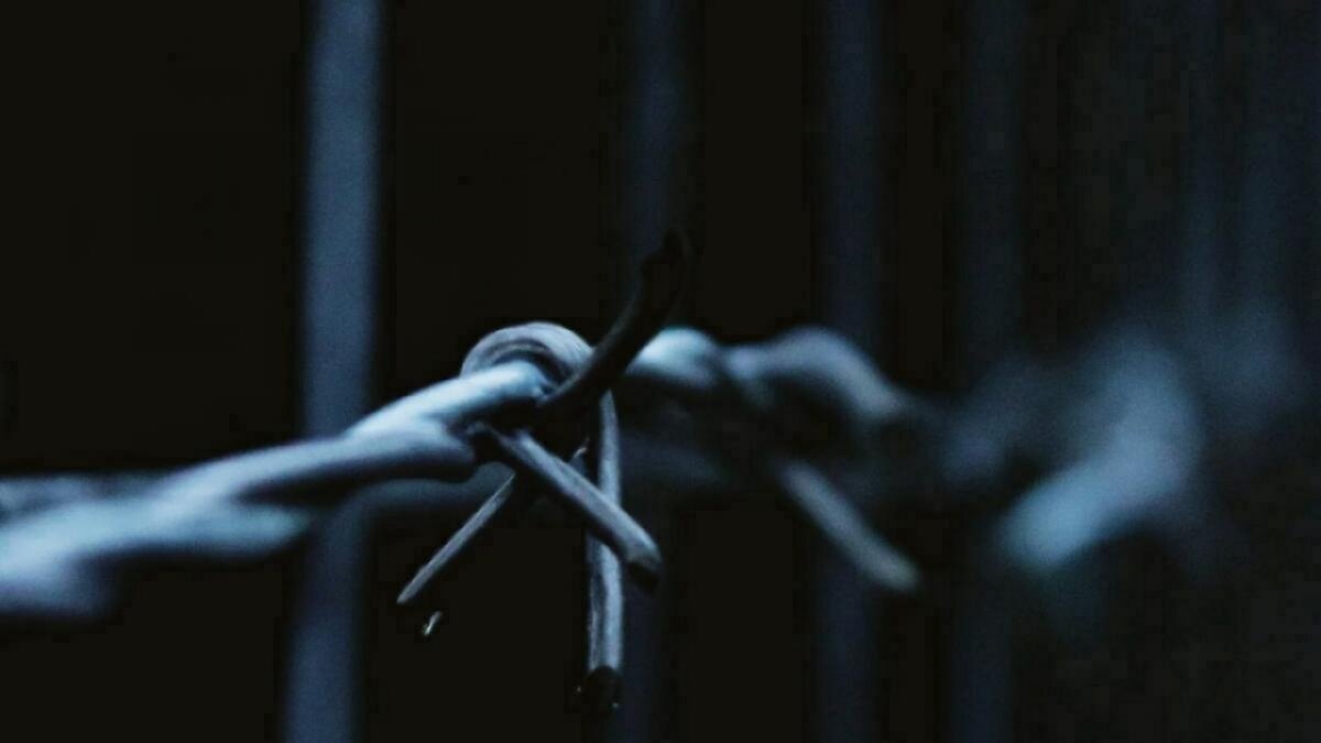    За развращение четырех девочек 34-летний саратовец отправится в колониюНовости Саратова и области – Сетевое издание «Репортер64»