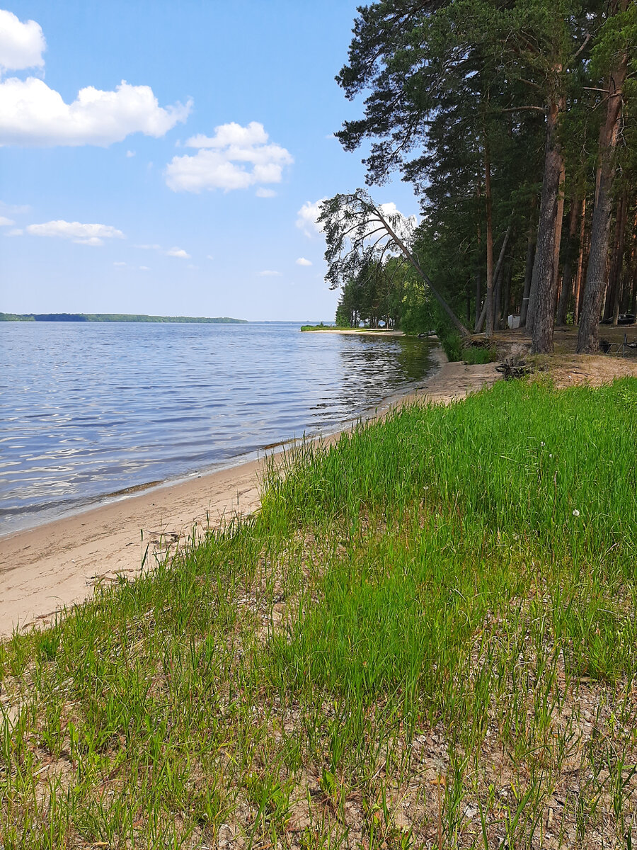 Берег с травкой