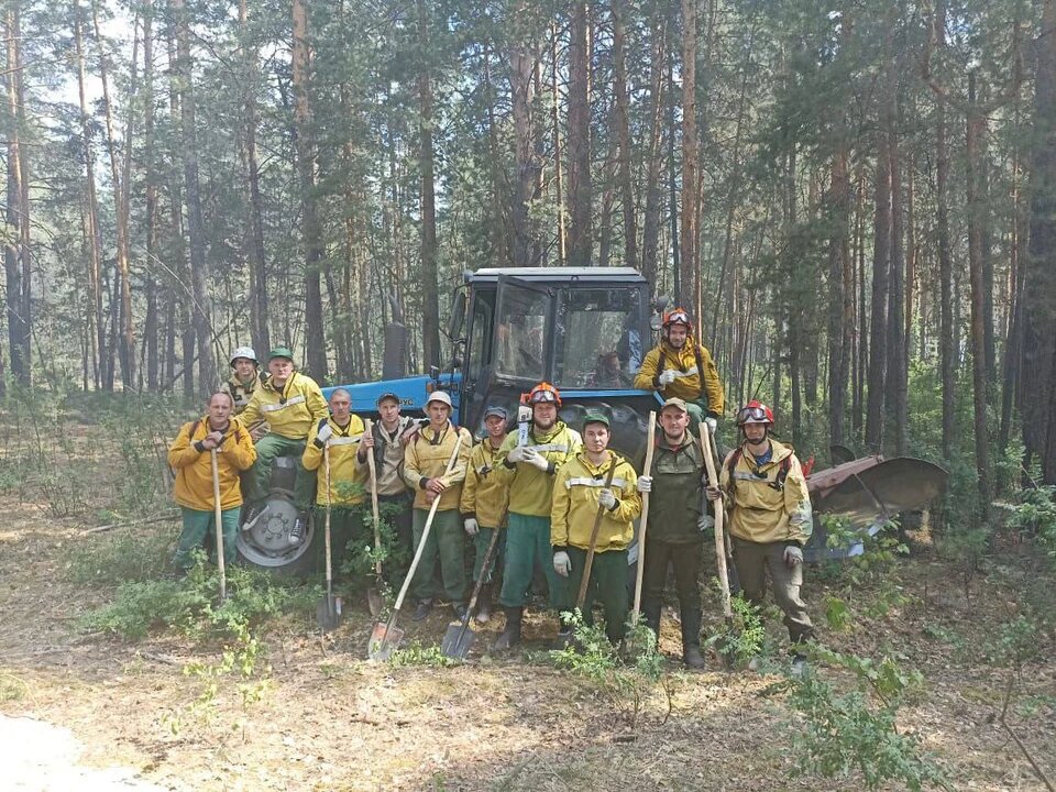 Проект сервис кемерово