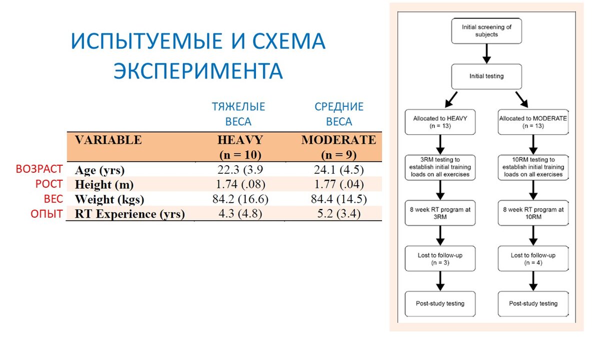 Рисунок 1. Данные по участникам и блок-схема эксперимента.