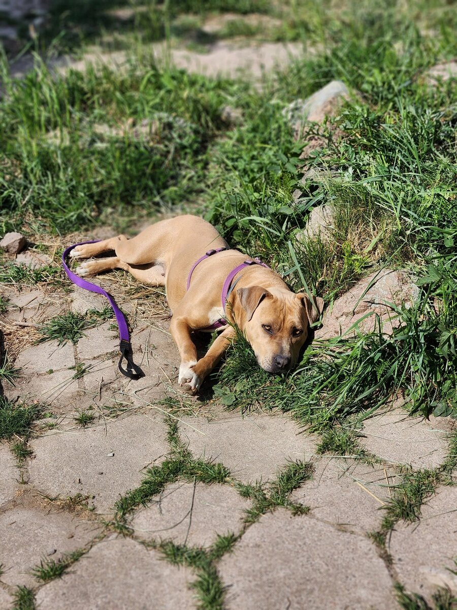 Личный архив 