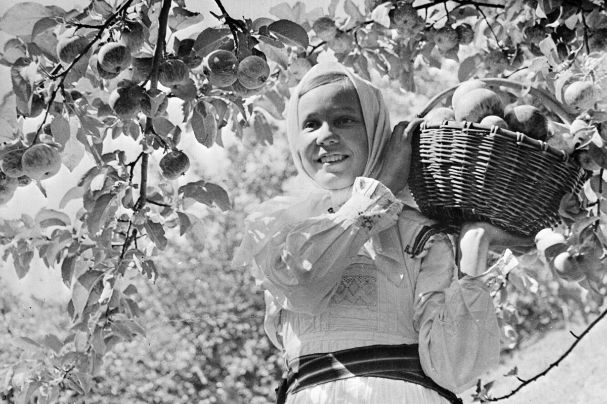 яндекс картинки