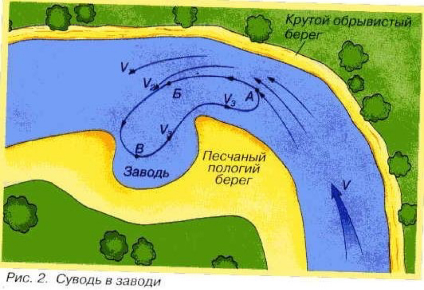 Направление течения и давление воды рыбы