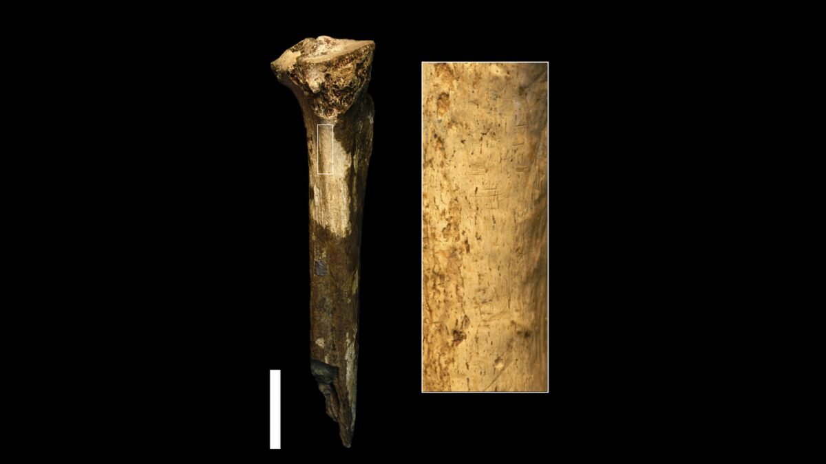    Фото: Jennifer Clark Август Макаров