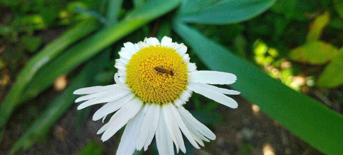 Фото автора канала