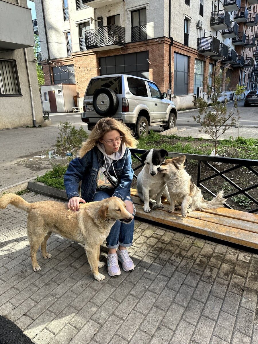 Это я собираю всех собак района, чтобы загладить и залюбить. Такого рода фотографий на телефоне у меня, как понимаете, миллион.
