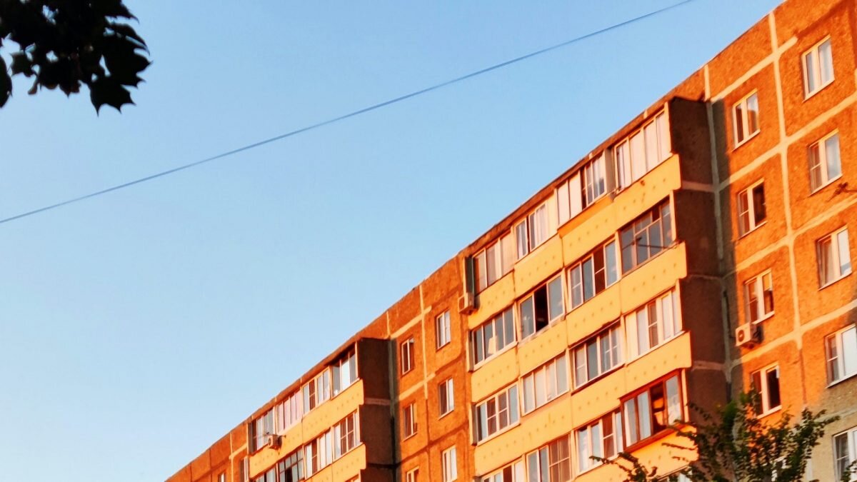    Фото: Unsplash Август Макаров