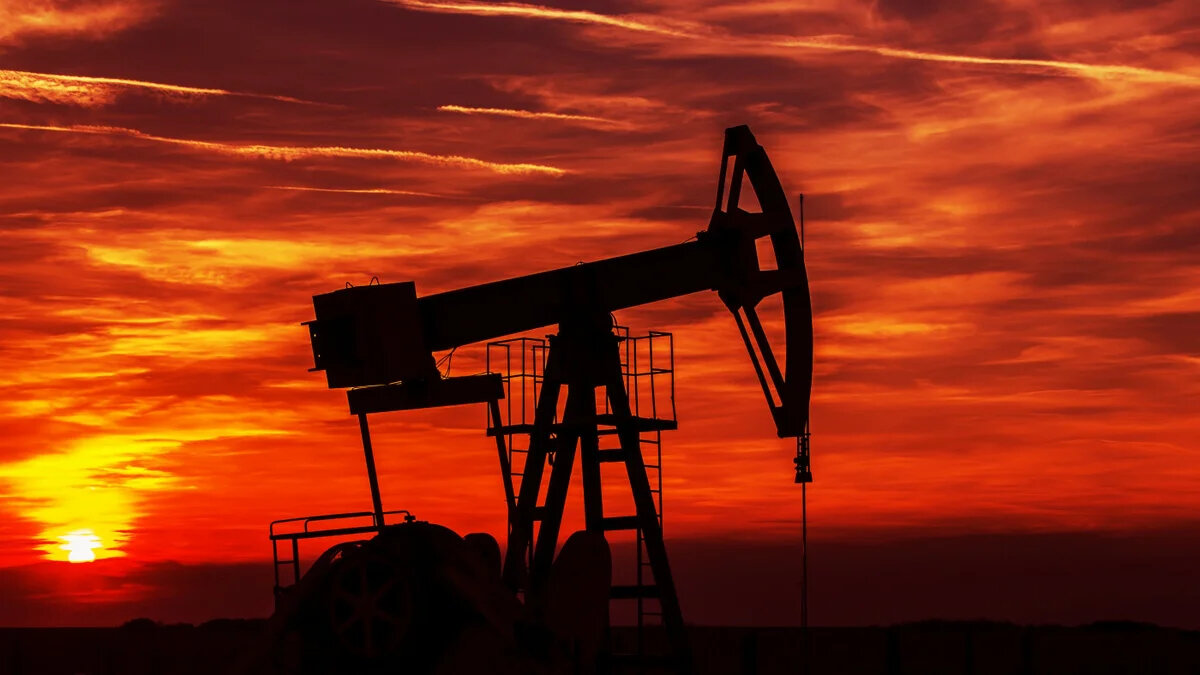 Изображение взято в свободном доступе в интернете.