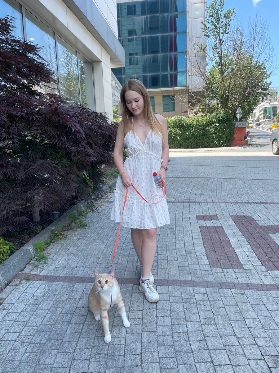 Мы с котом у входа в отель Ibis West