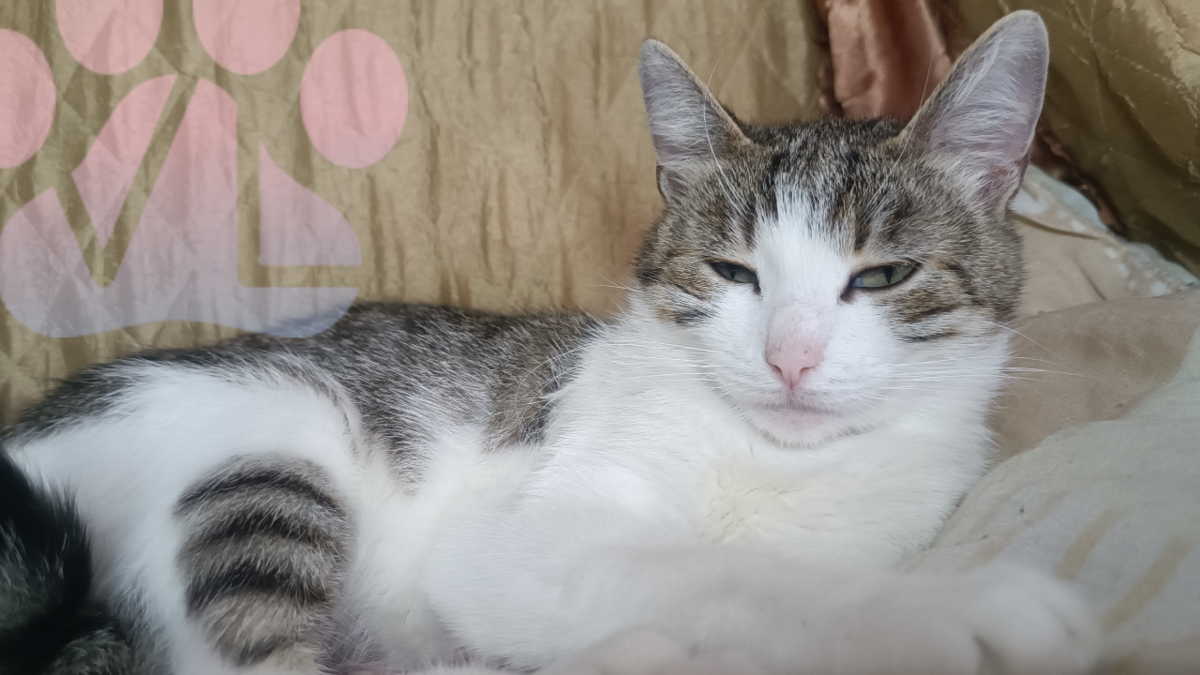 Фемида, фото автора