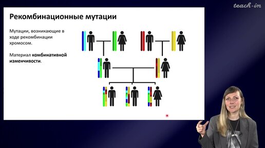 Download Video: Шурупова Яна Андреевна - Теория эволюции - 4. Изменчивость