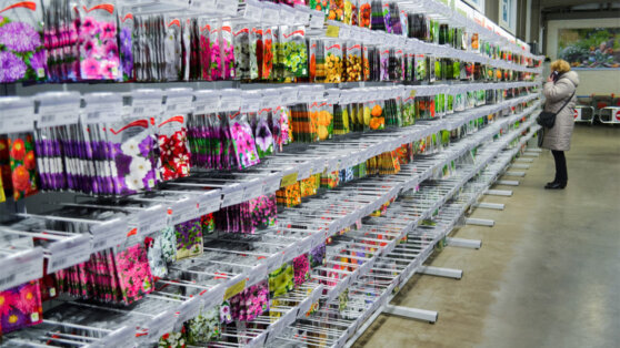    Кабмин России утвердил ограничение ввоза в страну семян ряда сельхозкультур Иван Обухов