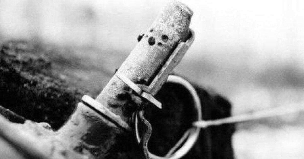 фото из интернета.