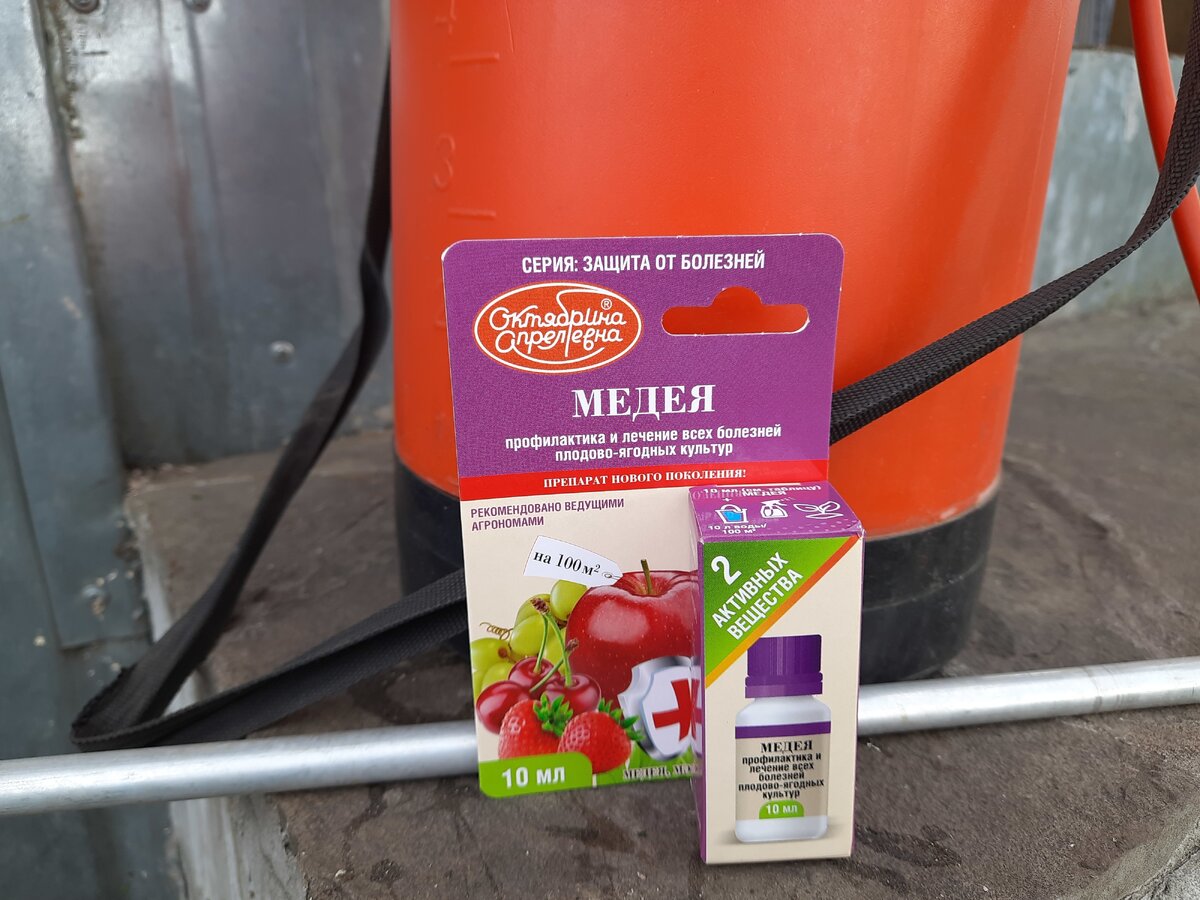    Фунгицид «Медея» — «скорая помощь» для лечения комплекса заболевания плодовых деревьев и винограда