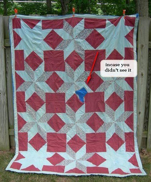 Дырку проделал домашний любимец. Надпись на фото: "с обратной стороны вы это не увидите"