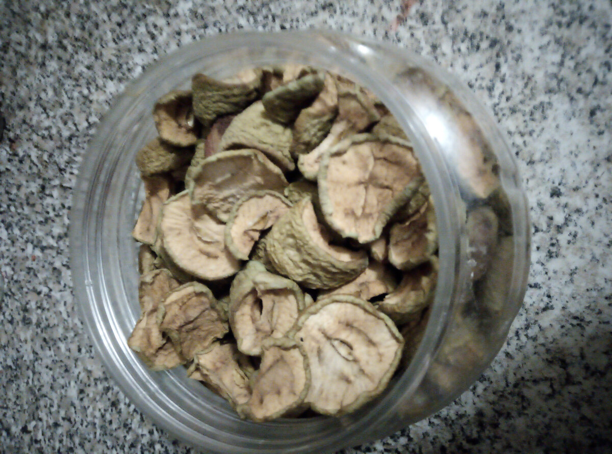 Фото автора.