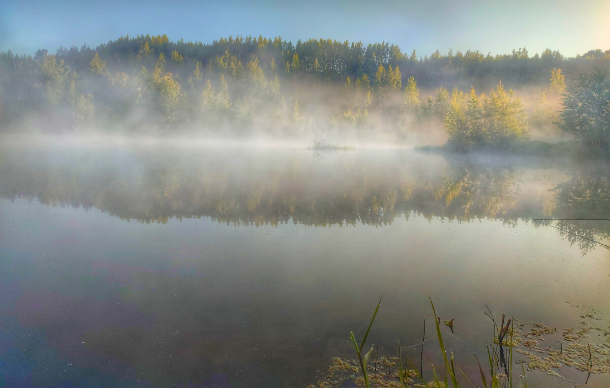 Усадебный парк белая дача котельники. Нарские пруды. Пруд 2 км. Тихий берег истра пруд. Пруд 2 км.