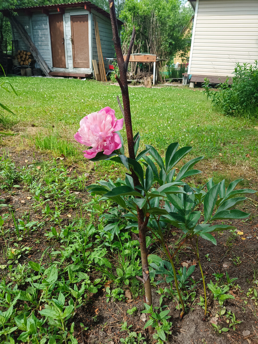  (фото автора)